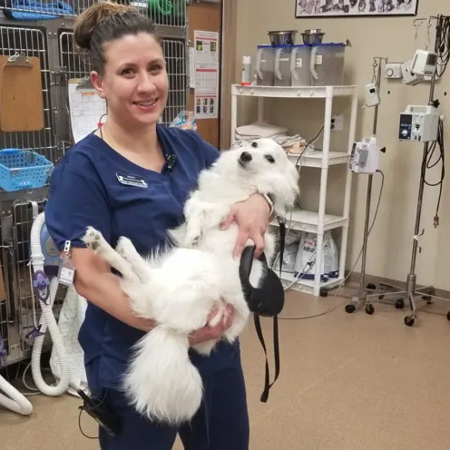 Staff member holding fluffy white dog